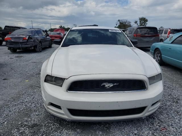 2013 Ford Mustang