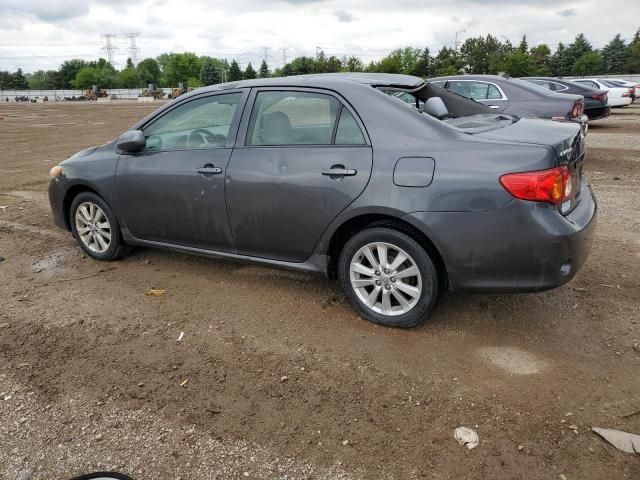 2010 Toyota Corolla Base