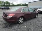2010 Honda Accord EX