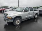 2004 Dodge Dakota Quad Sport