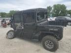 2024 Can-Am Defender Max Limited Cab HD10