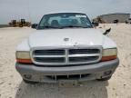 2004 Dodge Dakota SXT