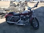 2004 Harley-Davidson XL1200 C