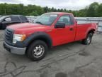 2010 Ford F150