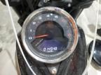 2022 Harley-Davidson Fxfbs