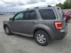 2010 Ford Escape Limited