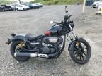 2024 Yamaha XVS950 CUD