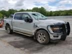 2024 Ford F150 xlt