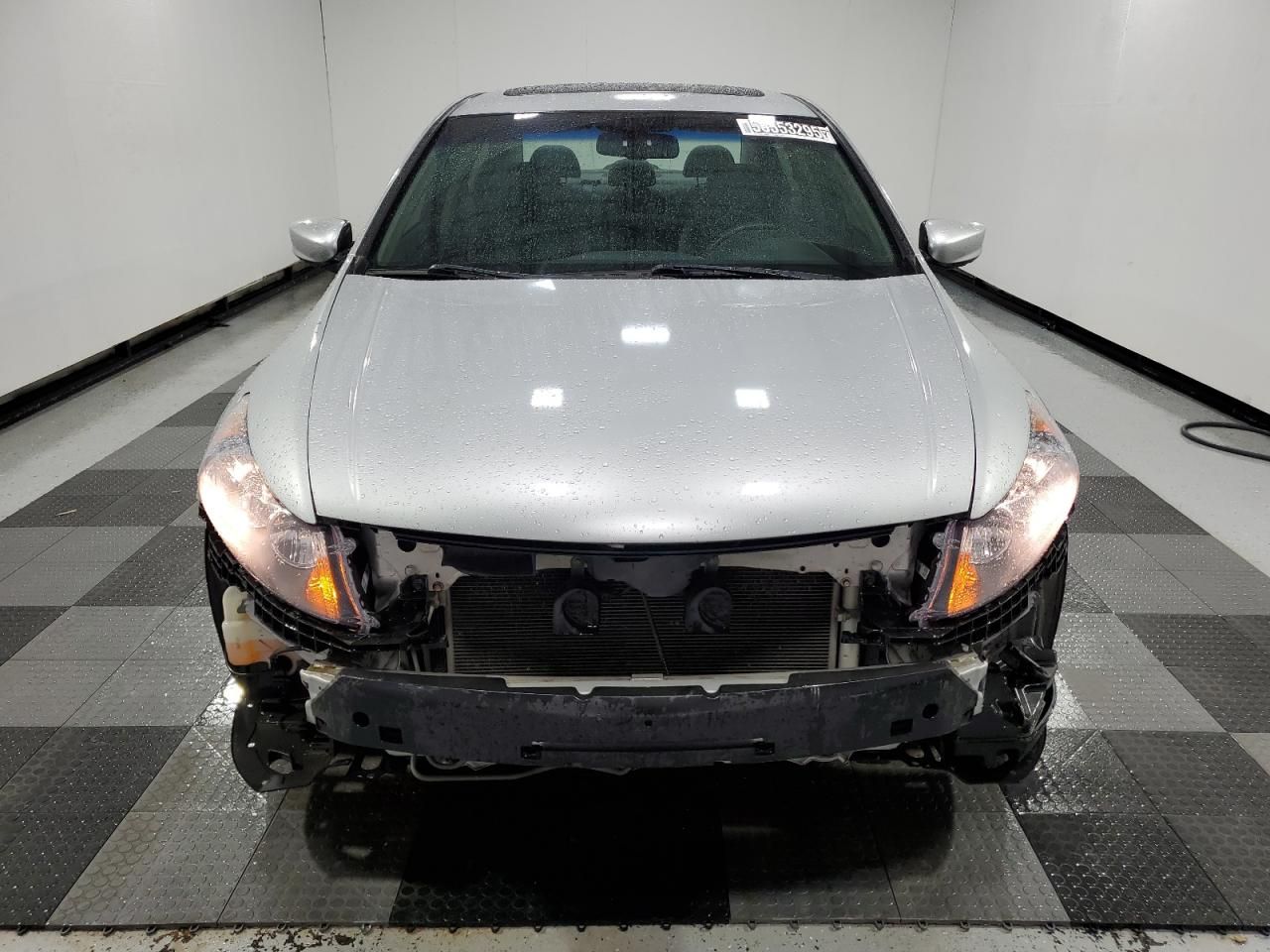 2010 Honda Accord exl