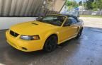 1999 Ford Mustang GT