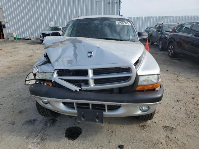 2002 Dodge Dakota Quad Sport