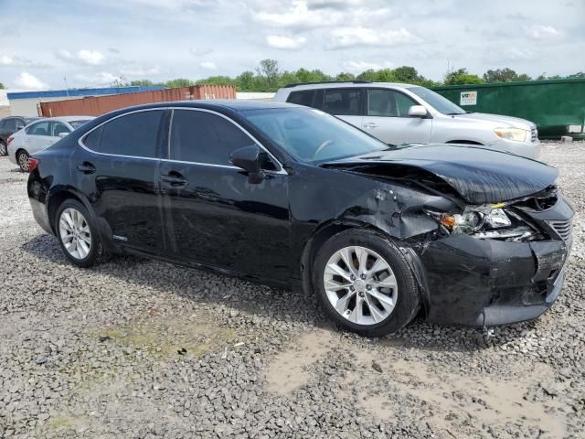 2013 Lexus ES 300H