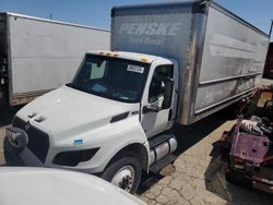 International salvage cars for sale: 2024 International MV607