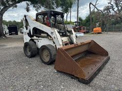Salvage trucks for sale at Riverview, FL auction: 2010 Bobcat S300