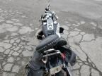 2004 Harley-Davidson Flstci