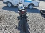 2024 Cf Moto 300SS