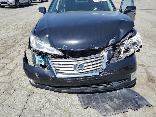 2010 Lexus ES 350