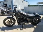 2020 Harley-Davidson XL883 N