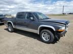 2004 Dodge Dakota Quad SLT