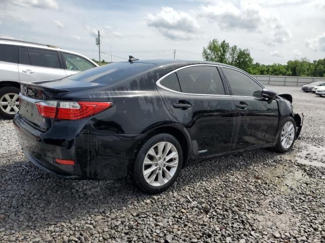 2013 Lexus ES 300H