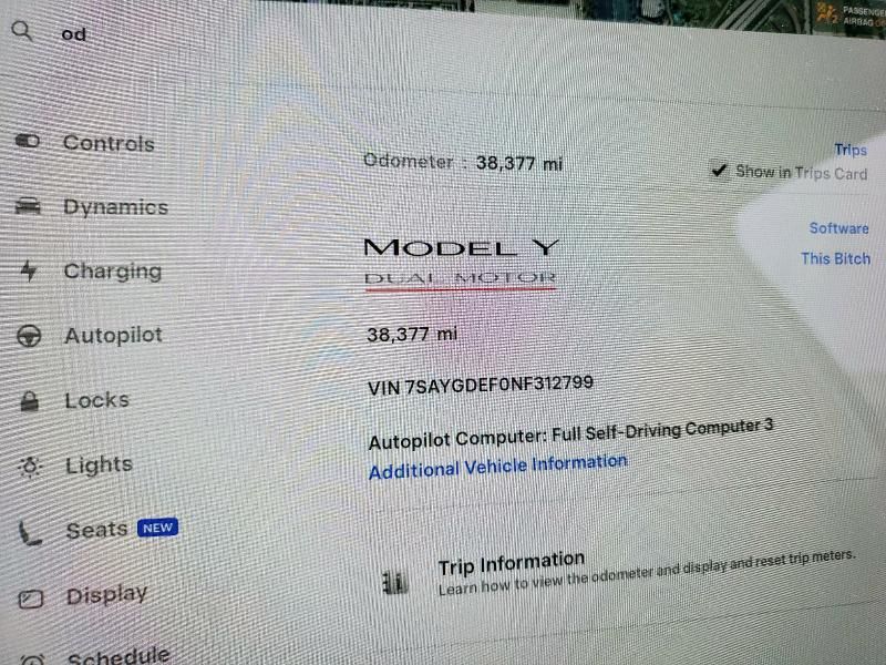 2022 Tesla Model Y