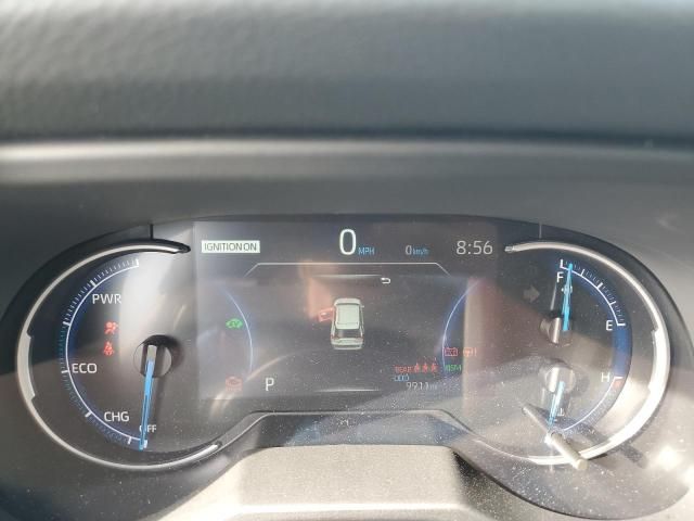 2024 Toyota Rav4 XLE Premium