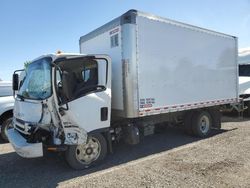 Vehiculos salvage en venta de Copart Rocky View County, AB: 2023 Isuzu NRR