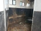 2003 Unknown 2003 Exiss Horse Trailer
