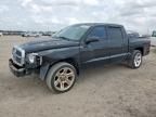 2005 Dodge Dakota Quattro