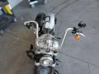 2019 Harley-Davidson Flsb