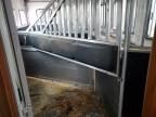 2017 Laredo 2017 Bison Horse Trailer