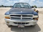 2001 Dodge Dakota