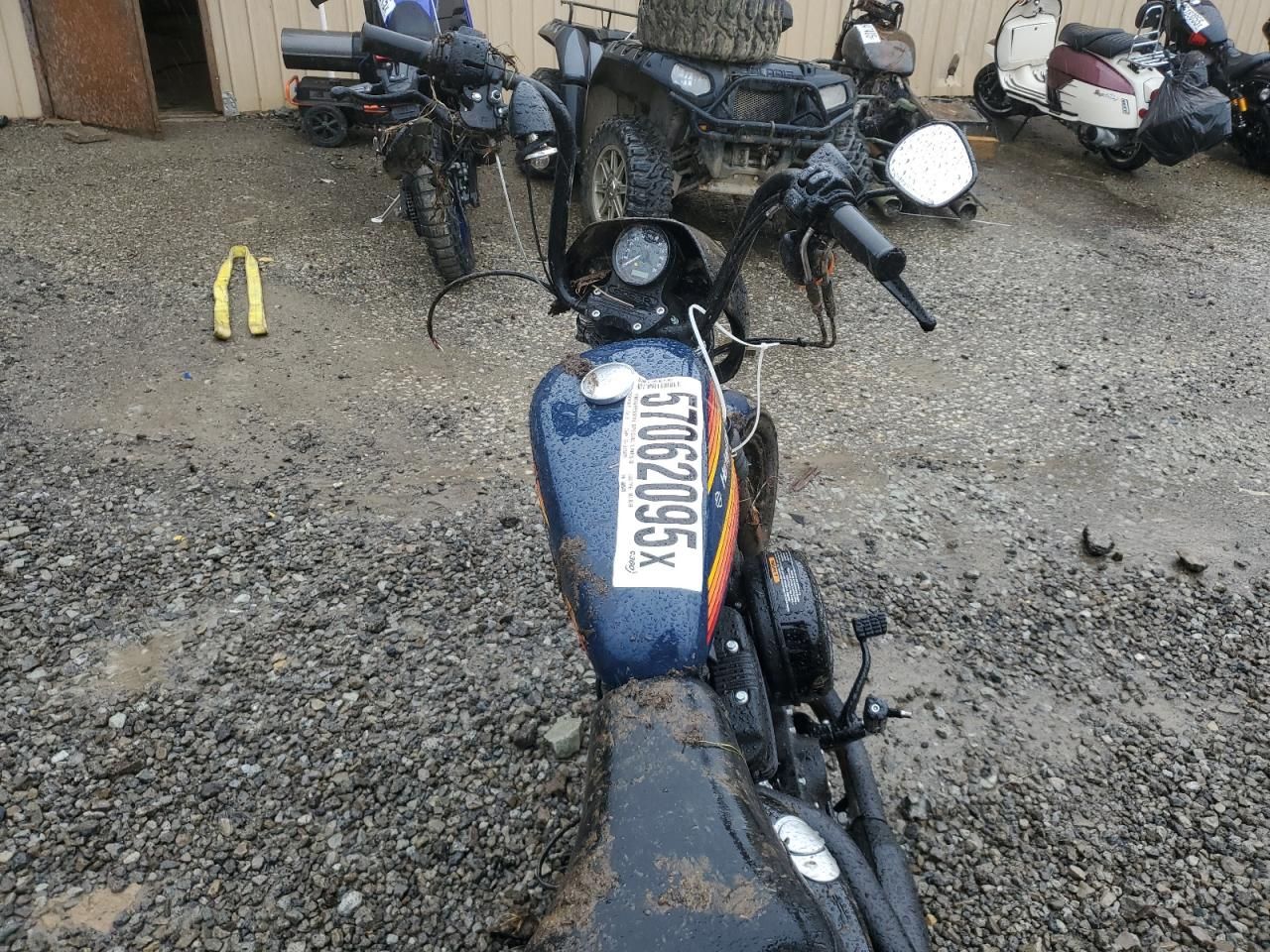 2020 Harley-Davidson XL1200 NS