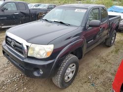 Salvage cars for sale from Copart Lansing, MI: 2006 Toyota Tacoma Access Cab