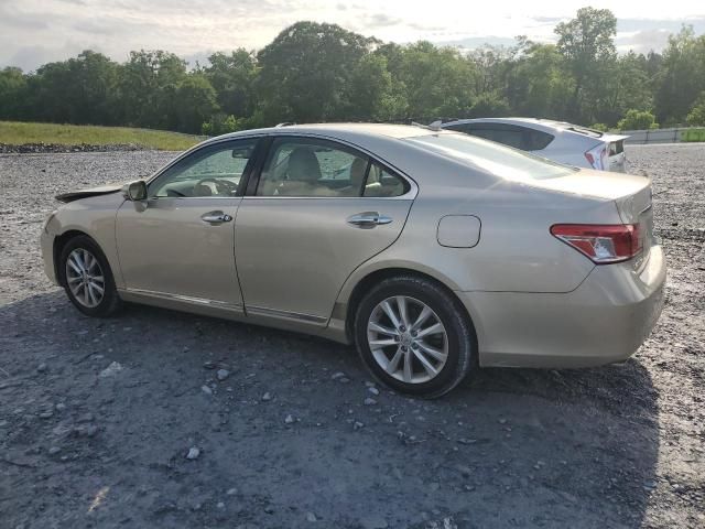 2010 Lexus ES 350