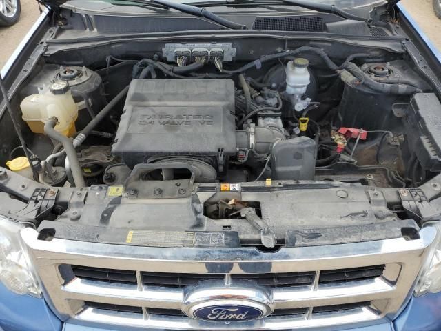 2010 Ford Escape XLT