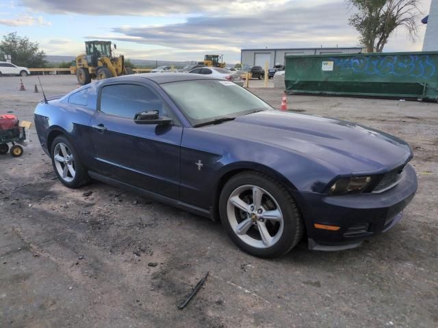 2010 Ford Mustang