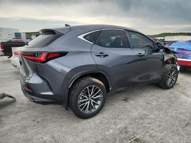 2023 Lexus NX 350H