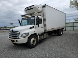 Salvage trucks for sale at Leroy, NY auction: 2017 Hino 258 268