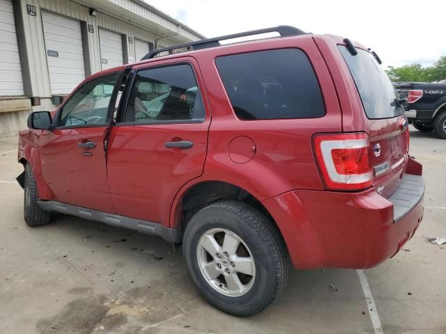 2010 Ford Escape XLT
