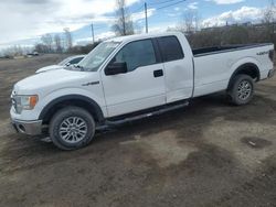 2014 Ford F150 Super Cab en venta en Montreal Est, QC