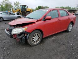 Toyota salvage cars for sale: 2010 Toyota Corolla Base