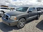 2007 Dodge Dakota Quad SLT