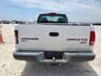 2004 Dodge Dakota SXT