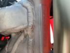 2023 Honda CRF250 RX