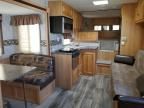 2009 Bison Stratus