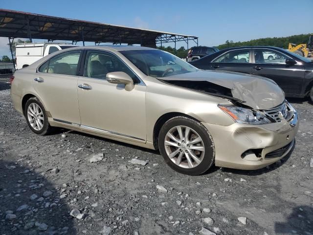 2010 Lexus ES 350