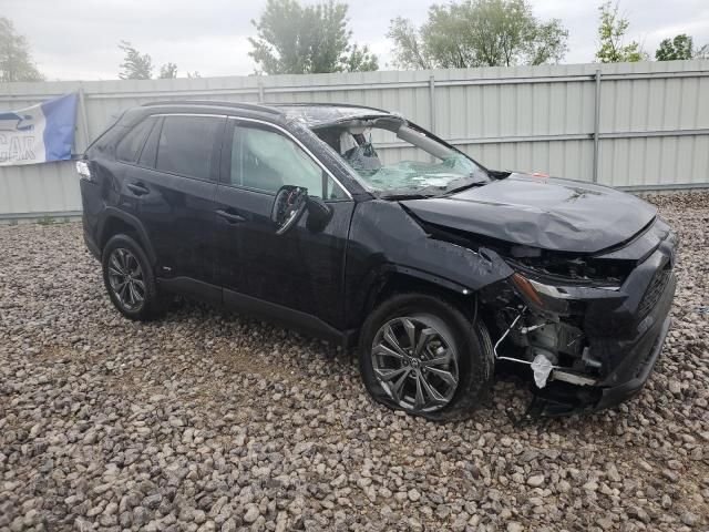 2024 Toyota Rav4 XLE Premium