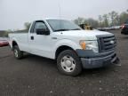 2009 Ford F150