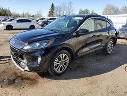 2022 Ford Escape SEL for sale in Bowmanville, ON